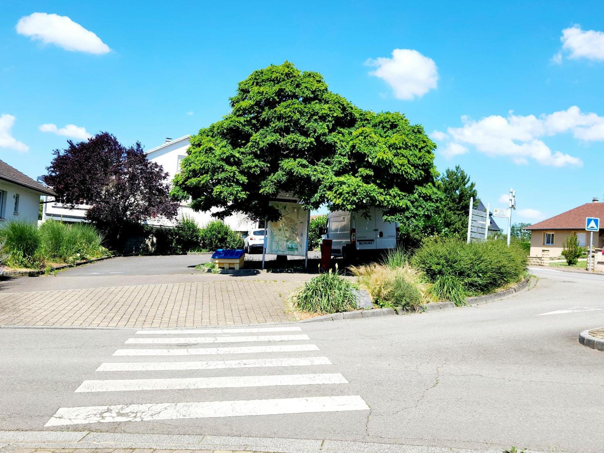 Le Jardin D'Eden Apartment Ay-sur-Moselle Exterior photo